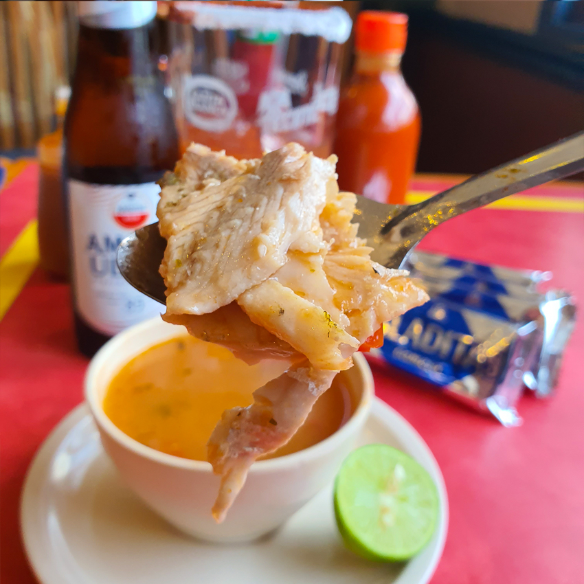 CALDOS-espera-pescado