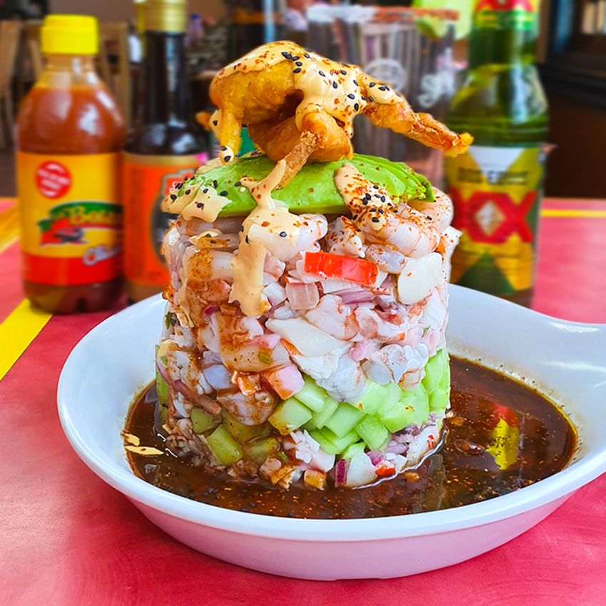 ENTRADA-torre-la-haya